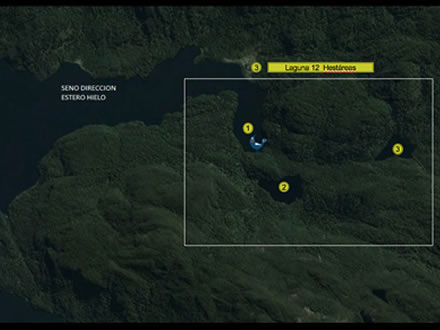 Estero Chucao, bosques virgenes, Patagonia