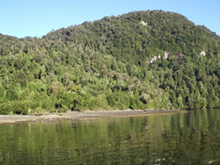 Estero Chucao, bosques virgenes, Patagonia