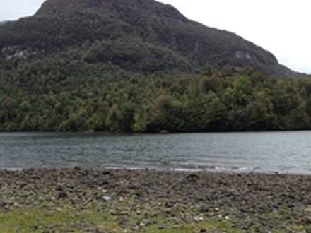 Estero Chucao, bosques virgenes, Patagonia