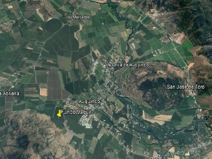 Terreno Agrcola en Sector Auquinco