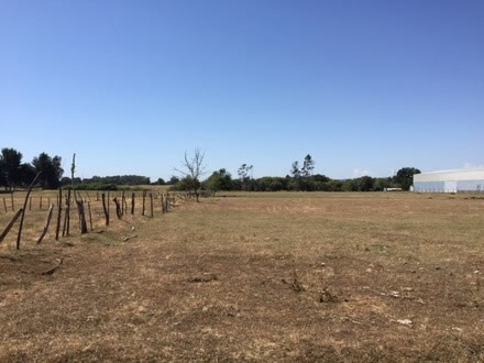 Terreno Camino Freire 